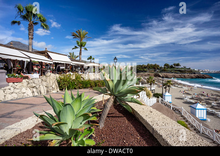 Bahia Del Duque Strand, Resort, Teneriffa, Spanien Stockfoto