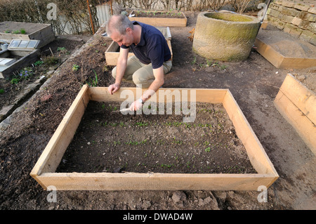 Installation von organischen Garten Frühbeet säen Spinat Stockfoto