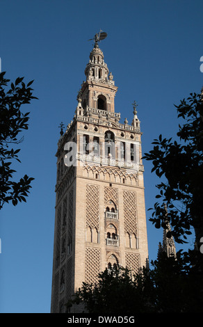 Die Giralda ("La Giralda") eine ehemalige Minarett, das jetzt ein Glockenturm der Kathedrale, Sevilla (Sevilla), Andalusien, Spanien. Stockfoto