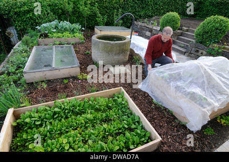 Installation der Bio-Garten, Fleece, Frostschutz, Frühbeet Stockfoto