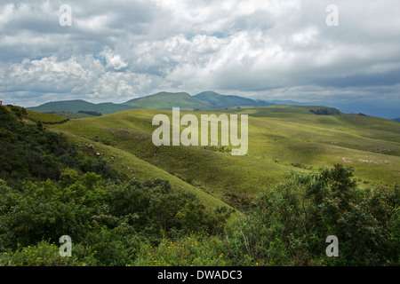 Blick von der Straße zwischen Sabie und Lydenburg (Mashishing), Long Tom Pass, nördlichen Drakensberge Mpumalanga Südafrika Stockfoto