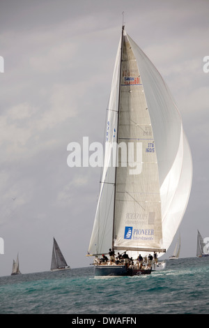 Erstklassige Boote und Segler sind jedes Jahr im Januar gezogen, um in die Acura Key West Regatta, Key West, Florida, USA konkurrieren Stockfoto