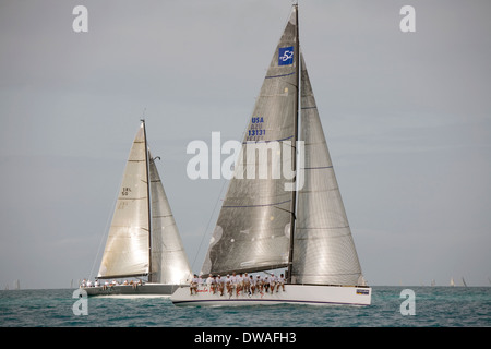 Erstklassige Boote und Segler sind jedes Jahr im Januar gezogen, um in die Acura Key West Regatta, Key West, Florida, USA konkurrieren Stockfoto