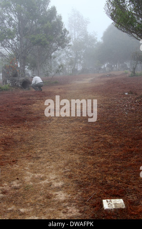 Pfad zum Plain of Jars Seite 3 in der Nähe von Phonsavan in ländlichen Laos Stockfoto