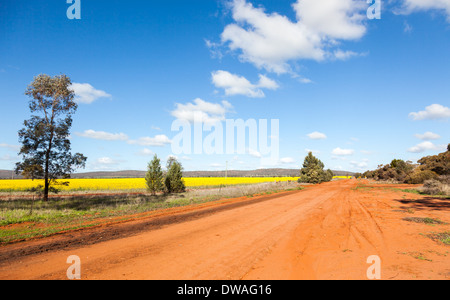 NSW outback in der Nähe von Cowra Stockfoto