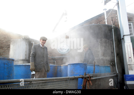 Ein Arbeiter bei er Wychwood Brewery in Oxfordshire. Stockfoto