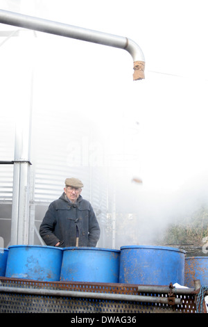 Ein Arbeiter bei er Wychwood Brewery in Oxfordshire. Stockfoto