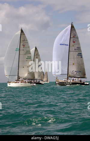 Erstklassige Boote und Segler sind jedes Jahr im Januar gezogen, um in die Acura Key West Regatta, Key West, Florida, USA konkurrieren Stockfoto