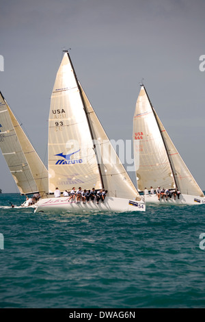 Erstklassige Boote und Segler sind jedes Jahr im Januar gezogen, um in die Acura Key West Regatta, Key West, Florida, USA konkurrieren Stockfoto