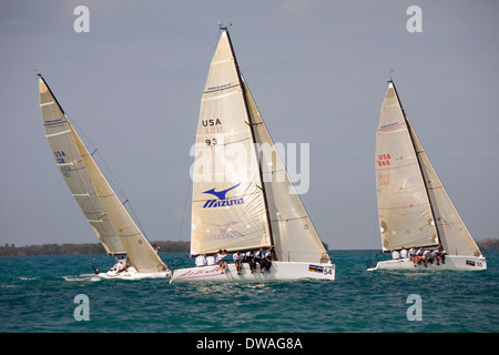 Erstklassige Boote und Segler sind jedes Jahr im Januar gezogen, um in die Acura Key West Regatta, Key West, Florida, USA konkurrieren Stockfoto