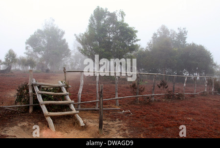 Pfad zum Plain of Jars Seite 3 in der Nähe von Phonsavan in ländlichen Laos Stockfoto