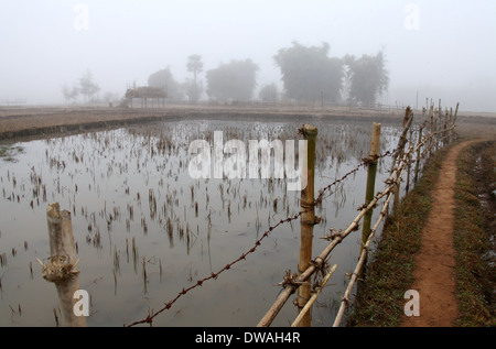 Pfad zum Plain of Jars Seite 3 in der Nähe von Phonsavan in ländlichen Laos Stockfoto