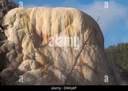 Orange Frühling Hügel entlang der oberen Terrasse-Schleife in der Nähe von Mammoth Hot Springs im Yellowstone-Nationalpark, Wyoming. Stockfoto