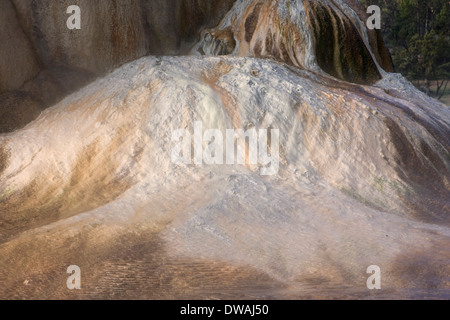 Orange Frühling Hügel entlang der oberen Terrasse-Schleife in der Nähe von Mammoth Hot Springs im Yellowstone-Nationalpark, Wyoming. Stockfoto