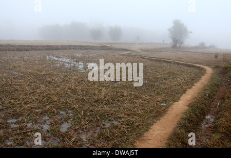 Pfad zum Plain of Jars Seite 3 in der Nähe von Phonsavan in ländlichen Laos Stockfoto