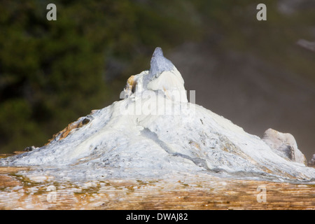 Orange Frühling Hügel entlang der oberen Terrasse-Schleife in der Nähe von Mammoth Hot Springs im Yellowstone-Nationalpark, Wyoming. Stockfoto