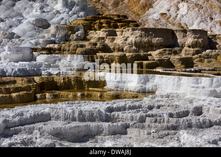 Kontrastierenden Farben in der Palette Frühling in Mammoth Hot Springs, Yellowstone-Nationalpark, Wyoming. Stockfoto