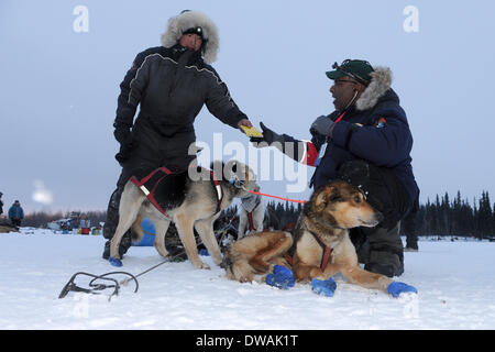 Anchoarge, AK, USA. 4. März 2014. BOB HALLINEN / Anchorage Daily News.Musher Mike Williams Jr. Hände seines Buches Tierarzt Tierarzt Bruce Nwadike am Checkpoint Nikolai während 2014 Iditarod Trail Sled Dog Race auf Dienstag, 4. März 2014. Bildnachweis: Bob Hallinen/Anchorage Daily News/ZUMAPRESS.com/Alamy Live News Stockfoto