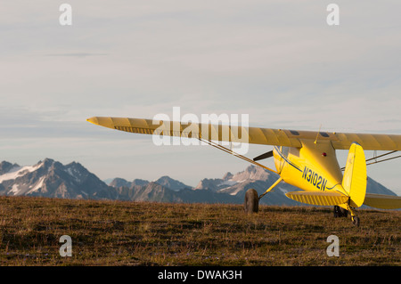 Gelbe Cessna 120 einmotorigen Buschflugzeug in der Tundra in den Bergen, Alaska Stockfoto