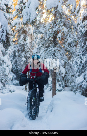 Foto der Person, die mit fetten Reifen Schnee Fahrrad auf dem Speedway-Trail, Campbell Wanderwege, Anchorage, Stockfoto