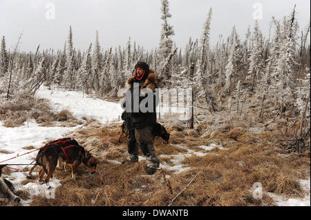 Anchoarge, AK, USA. 4. März 2014. BOB HALLINEN / Anchorage Daily News.Musher Rick Casillo stoppt, um seine Hunde neben der Spur in der Mitte der Abschied brennen während des Iditarod Trail Sled Dog Race auf Dienstag, 4. März 2014 snack. Bildnachweis: Bob Hallinen/Anchorage Daily News/ZUMAPRESS.com/Alamy Live News Stockfoto