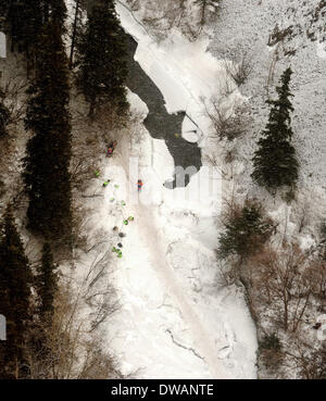 Anchoarge, AK, USA. 4. März 2014. BOB HALLINEN / Anchorage Daily News.A Musher ruht ihr Team neben den Iditarod Trail mitten in der Schlucht der Dalzell mit in der Nähe von offenen Gewässern während der Iditarod Trail Sled Dog Race auf Dienstag, 4. März 2014. Bildnachweis: Bob Hallinen/Anchorage Daily News/ZUMAPRESS.com/Alamy Live News Stockfoto