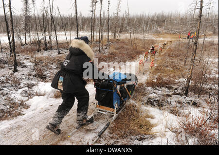 Anchoarge, AK, USA. 4. März 2014. BOB HALLINEN / Anchorage Daily News.Kristy Berington Breie Iditarod Trail in der Mitte der Abschied brennen während der 2014 Iditarod Trail Sled Dog Race auf Dienstag, 4. März 2014. Bildnachweis: Bob Hallinen/Anchorage Daily News/ZUMAPRESS.com/Alamy Live News Stockfoto