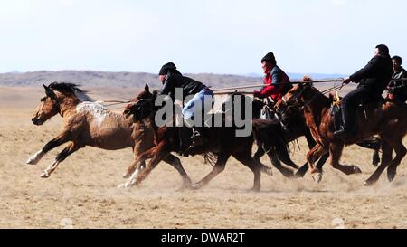Bayannur, China autonomen Region Innere Mongolei. 4. März 2014. Hirten versuchen, ein Pferd während eines Wettkampfes in Wengeng Township von Bayannur Stadt, Nord-China autonomen Region Innere Mongolei, 4. März 2014 lasso. Bildnachweis: Zhi Maosheng/Xinhua/Alamy Live-Nachrichten Stockfoto