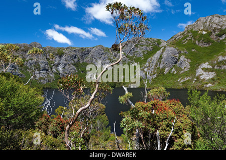 Crater Lake, Cradle Mountain National Park, Tasmanien, Australien Stockfoto