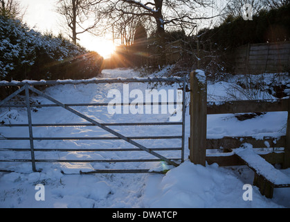 Die tief stehender Abendsonne scheint durch die Bäume auf einer kalten Schnee bedeckt Lane mit Tor und einen Stil Stockfoto