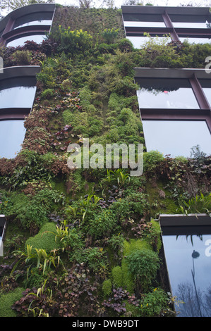 Musée du Quai Branly - grüne Gebäude mit einem großen grünen Wand Stockfoto