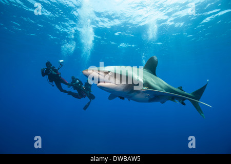 Taucher und ozeanischen Weißspitzen. Stockfoto