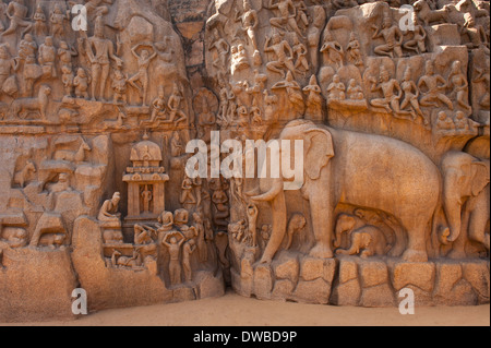 Indien, Tamil Nadu, Mamallapuram, Bhagirathas oder Arjunas Buße oder Abstieg des Ganges, Felszeichnungen panel panels Stockfoto