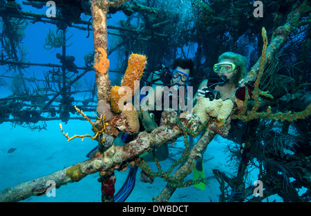 Taucher am Wrack. Stockfoto