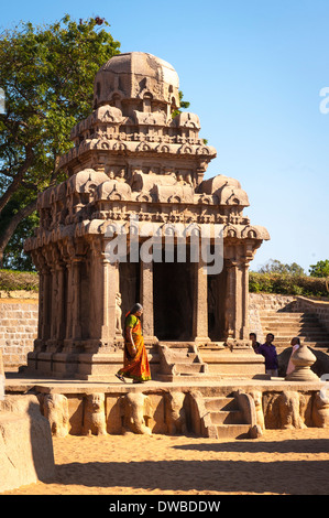 Indien Tamil Nadu Mamallapuram Mahabalipuram mandapas Kanchipuram südlich Panch fünf Rathas 7. Jahrhundert Arjuna Ratha Touristen Menschen Baum Bäume Stockfoto