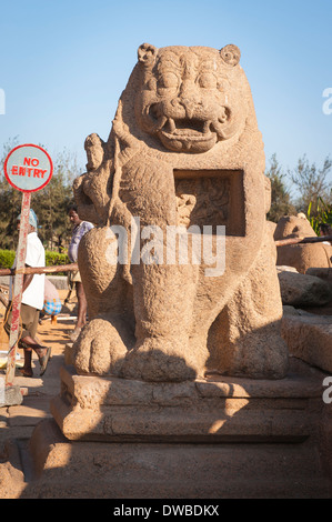 Indien Tamil Nadu Mamallapuram Mahabalipuram mandapas Kanchipuram, Vishnu und Shiva Shore Tempel 7. Jahrhundert Südlich Lion aus Sandstein Skulptur Stockfoto