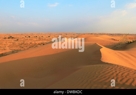 Wüste Rub al Khali - Ras al Khaima Stockfoto