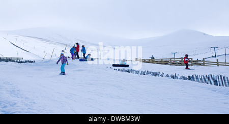 Junge Kinder lernen, snowboard und ski am Cairngorm Mountain Ski Centre, in der Nähe von Aviemore, Schottisches Hochland, Schottland, Vereinigtes Königreich Stockfoto