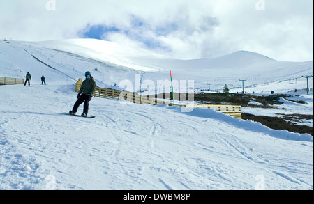 Snowboarder auf der Piste am Cairngorm Mountain Ski Centre in der Nähe von Aviemore, Cairngorms National Park, schottische Highlands Scotland UK Stockfoto