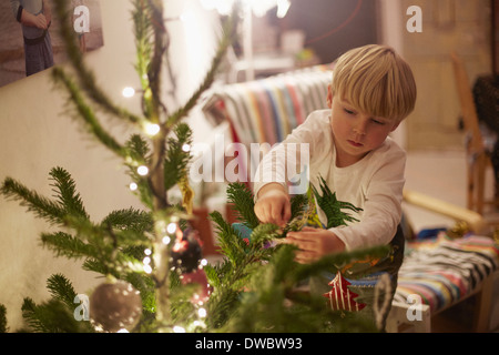 Kleiner junge Baum zu Weihnachten dekorieren Stockfoto