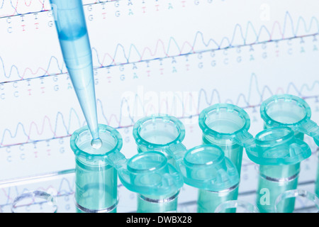 Mikropipette und Eppendorf Mikrozentrifugenröhrchen, DNA-Sequenzierung im Hintergrund Stockfoto