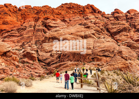 Menschen wandern und Klettern am Red Rock Canyon Conservation Area in Nevada; USA; Amerika in der Wüste Stockfoto