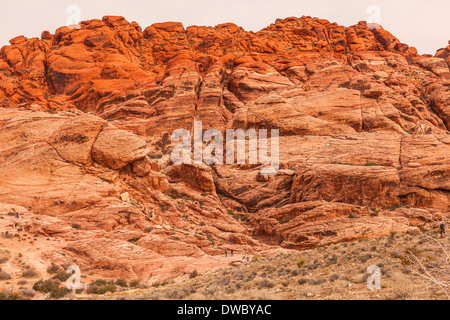 Menschen wandern und Klettern am Red Rock Canyon Conservation Area in Nevada; USA; Amerika in der Wüste Stockfoto