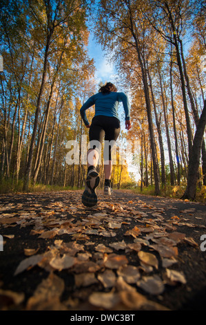 Frau läuft auf einem Pfad bedeckt im Herbst mit Laub. Stockfoto