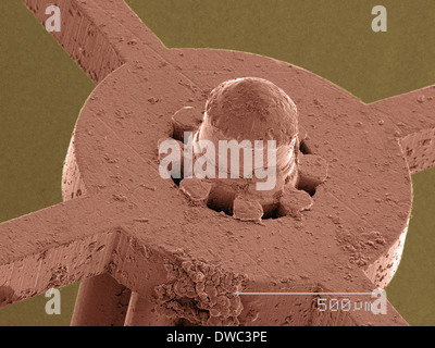 Farbige SEM der Uhr Teil Stockfoto