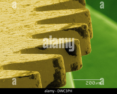 Farbige SEM der Uhr Teil Stockfoto