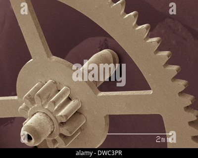 Farbige SEM der Uhr Teil Stockfoto