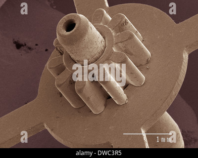 Farbige SEM der Uhr Teil Stockfoto