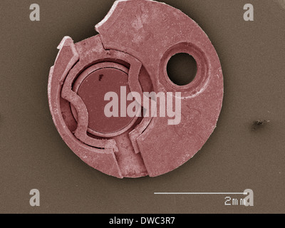 Farbige SEM der Uhr Teil Stockfoto