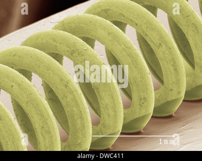 Farbige SEM einer Feder Stockfoto